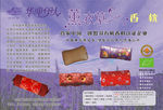 彩页薰衣草枕头 源文件cdr
