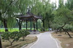 园林景观