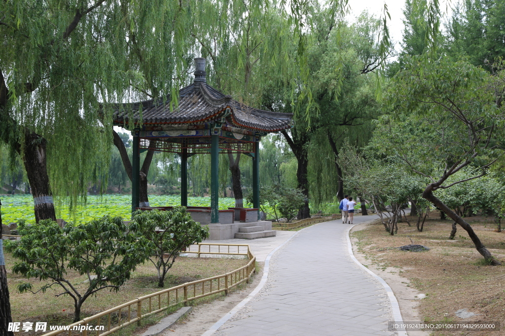 园林景观