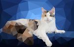 朦胧的猫