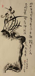 兰花