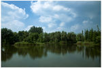 七桥翁湿地公园