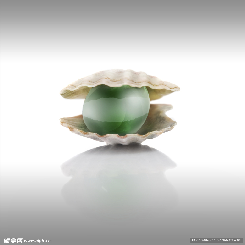 贝壳 翡翠