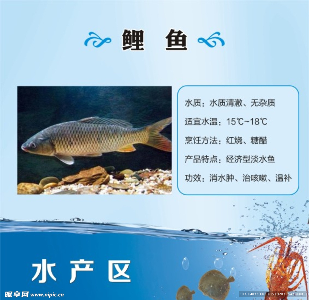 鱼简介