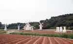 风车小屋