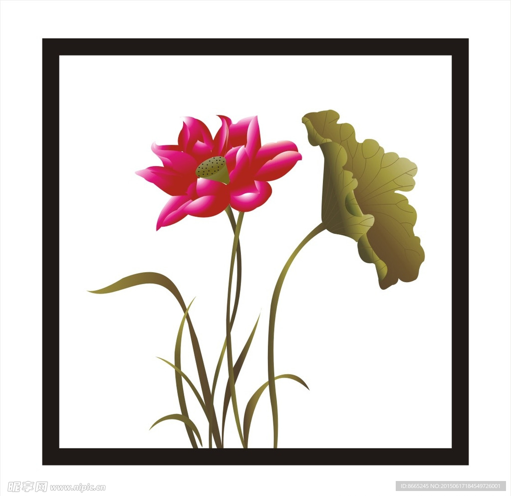 荷花
