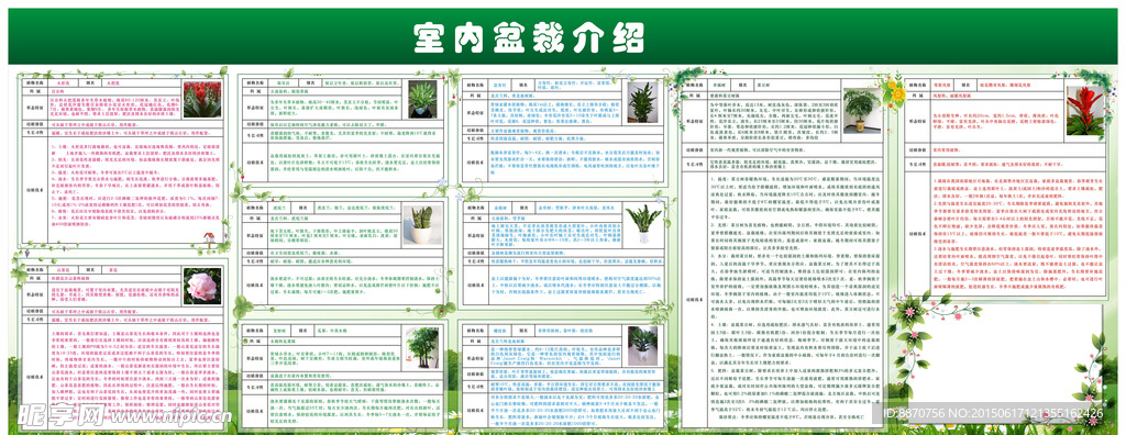 盆栽介绍