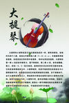 大提琴简介
