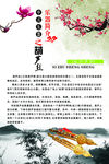 葫芦丝  简介