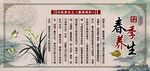 春季养肝展板