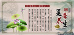夏季养心展板