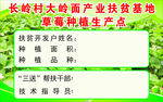 精准扶贫 产业扶贫基地