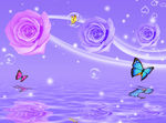 紫色浪漫玫瑰花水纹