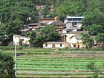 山村
