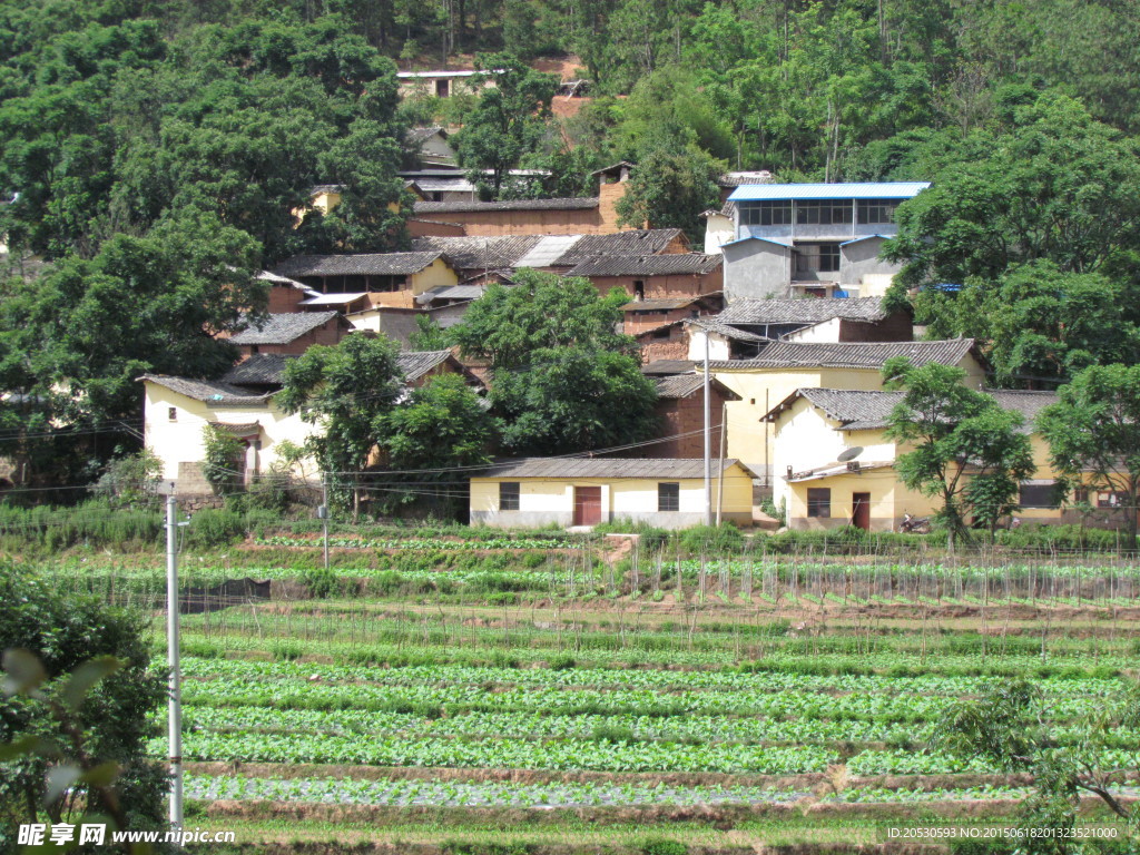 山村