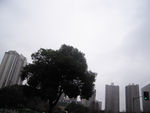 小区风景
