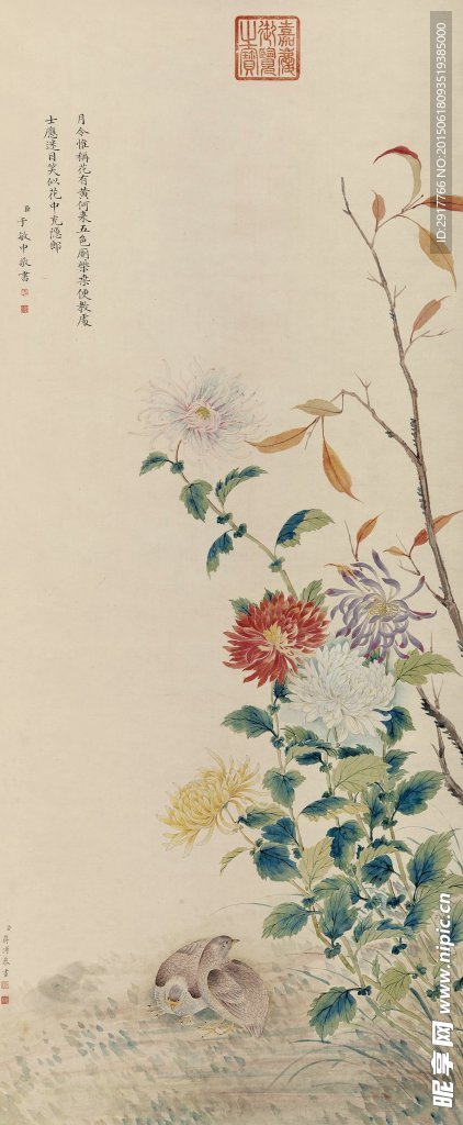 菊