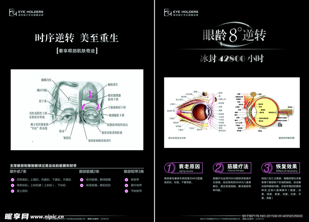 眼部对比kt版