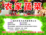 农家蔬菜店结合广告传媒门头招牌