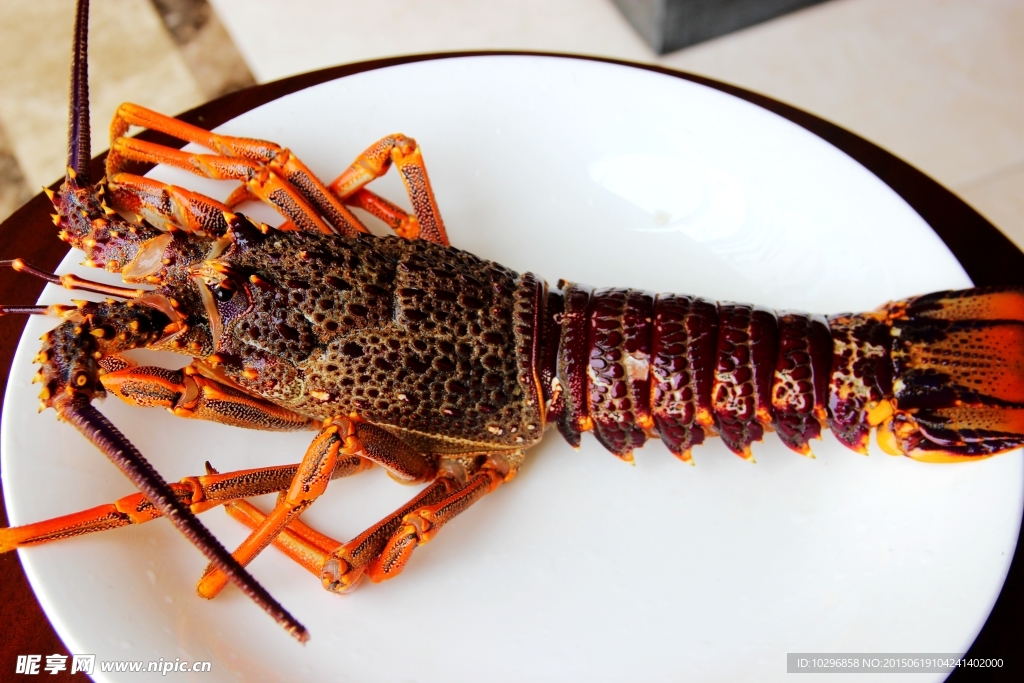 海鲜 澳洲龙虾