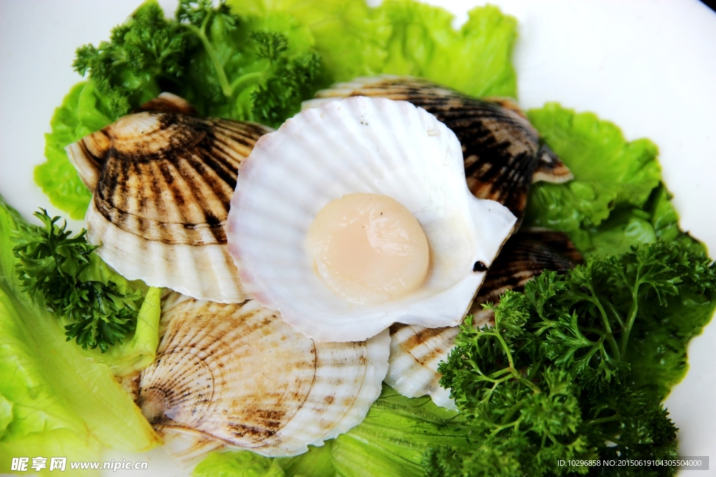 海鲜 扇贝