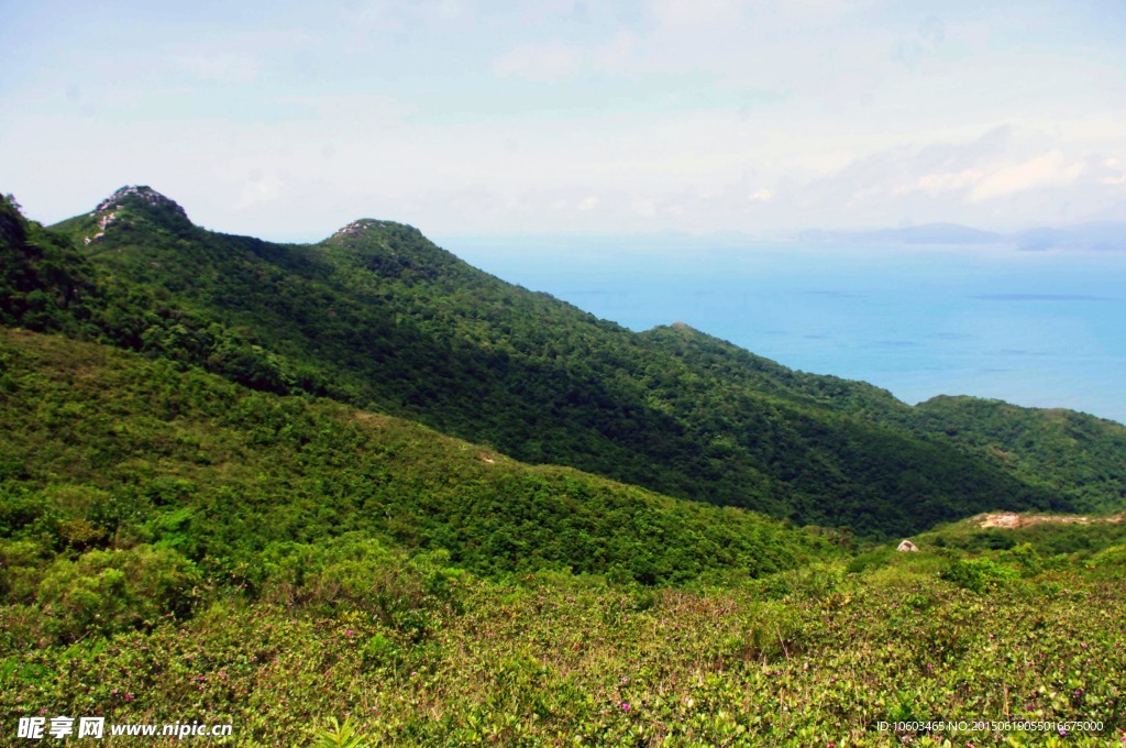 远海海洋 山花烂漫