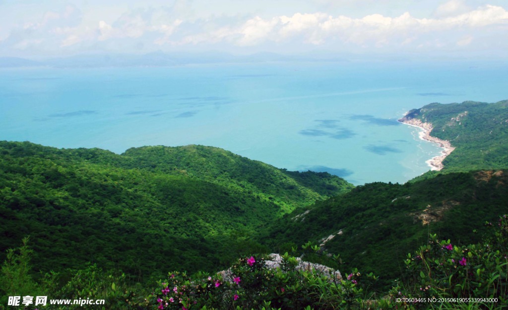 远海海洋 山花烂漫