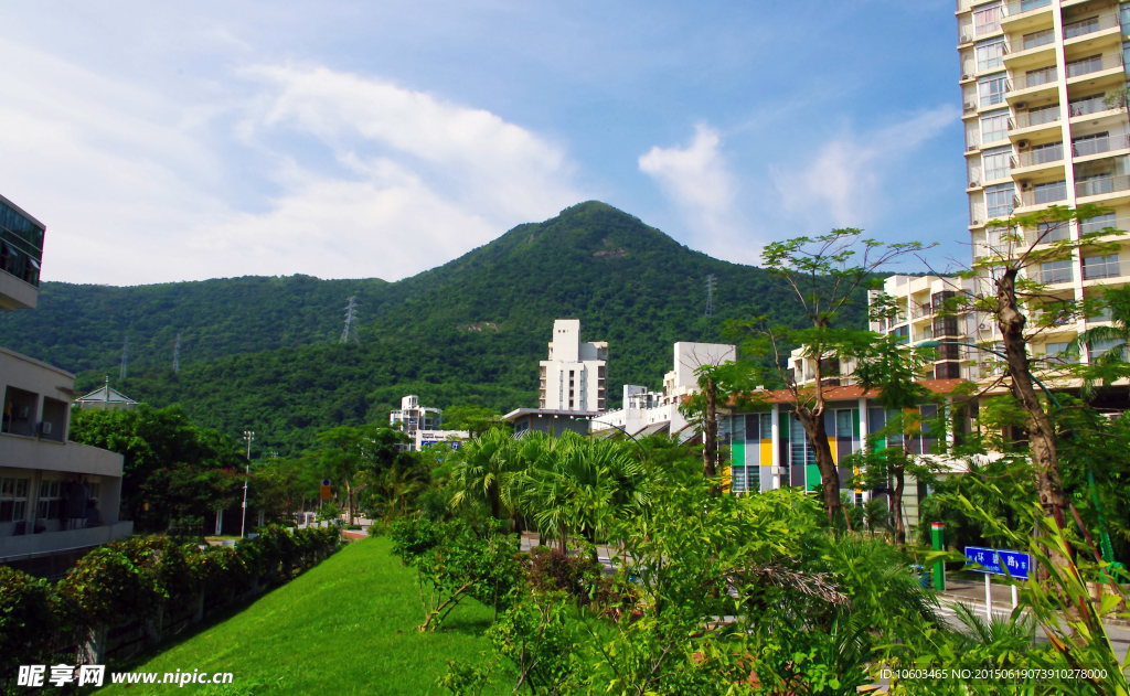 海岸风光 楼群建筑