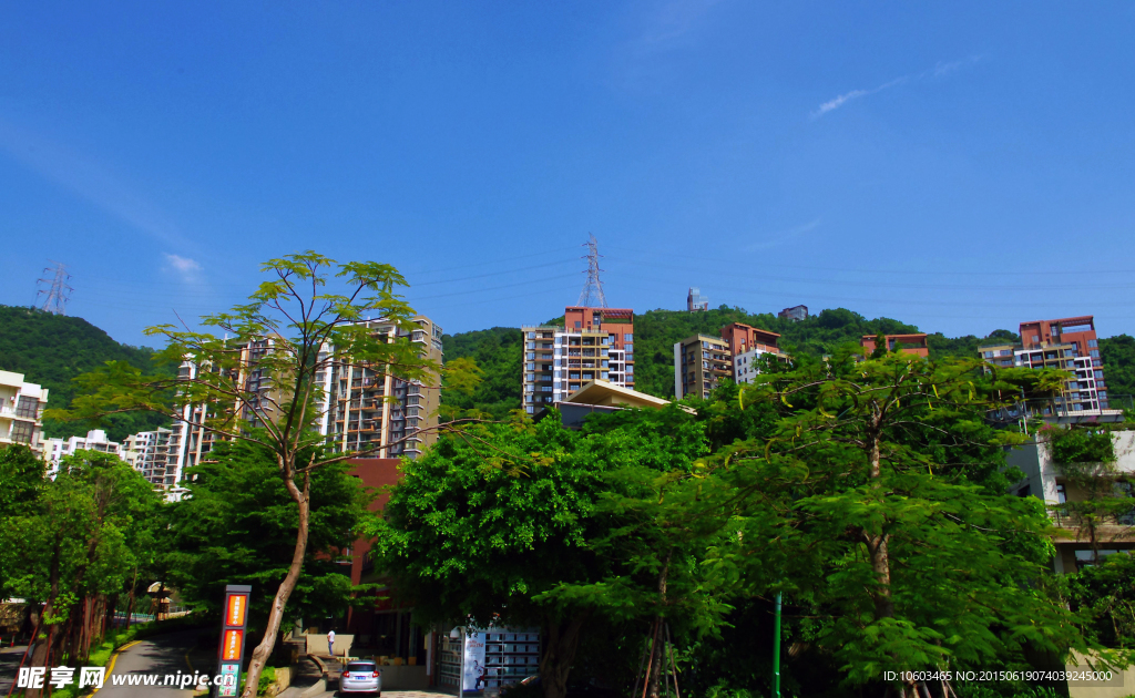 海岸风光 楼群建筑