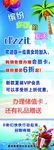缤纷多彩的夏天