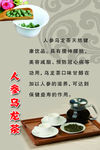 人参乌龙茶 茶文化