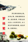 罗汉果 茶文化