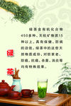 绿茶 茶文化