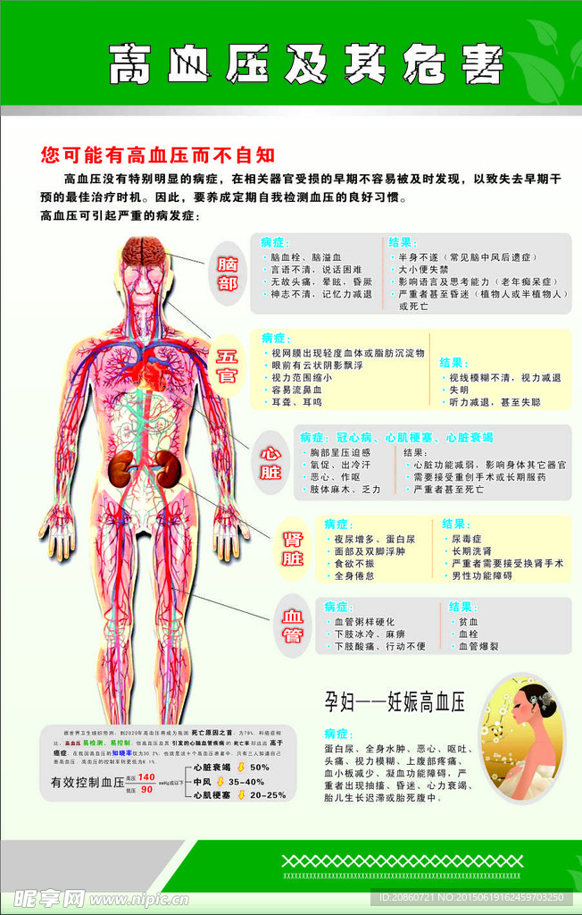 高血压及其危害