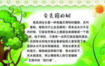 会走路的树