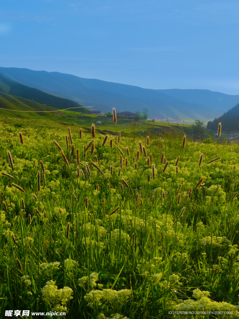 西域草原山色