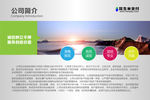 公司简介扁平化设计展板