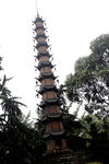 塔