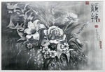 素描鲜花