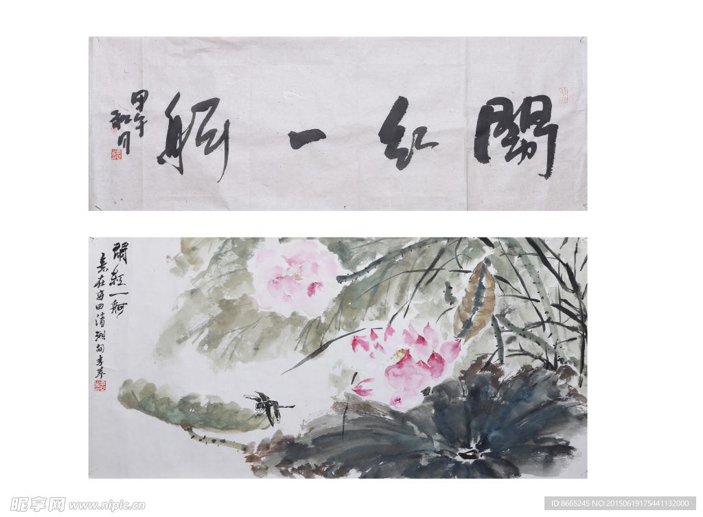 闹红一舸