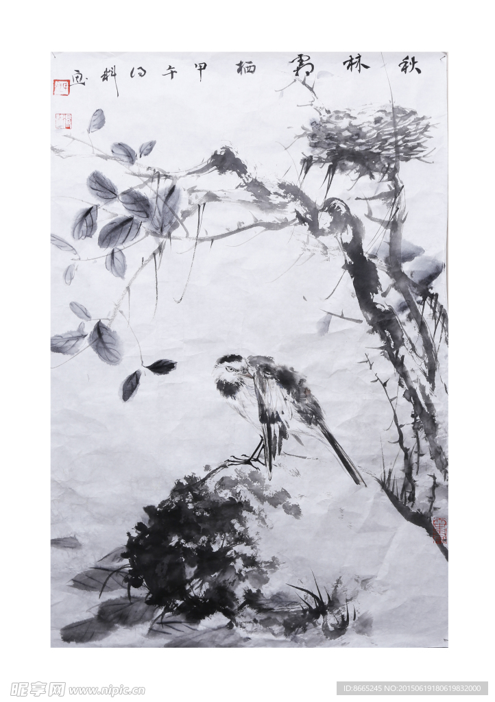 秋林霜栖