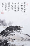 水鸭