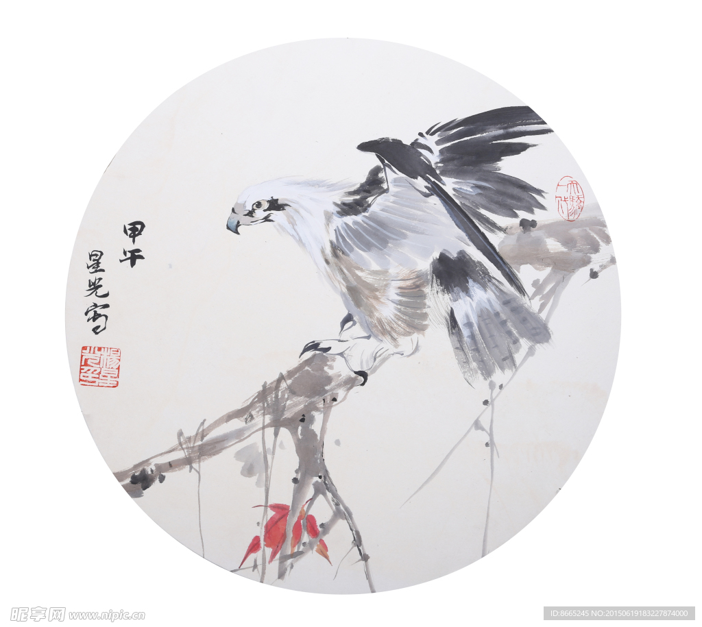红叶老鹰