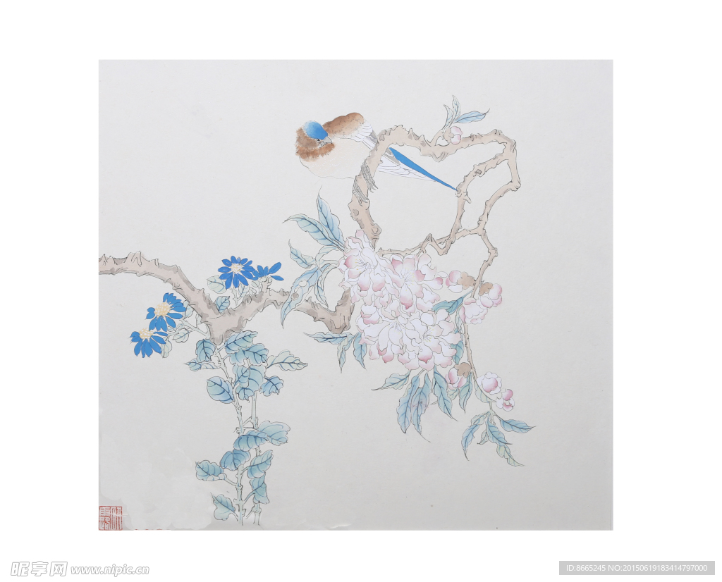 花鸟小品