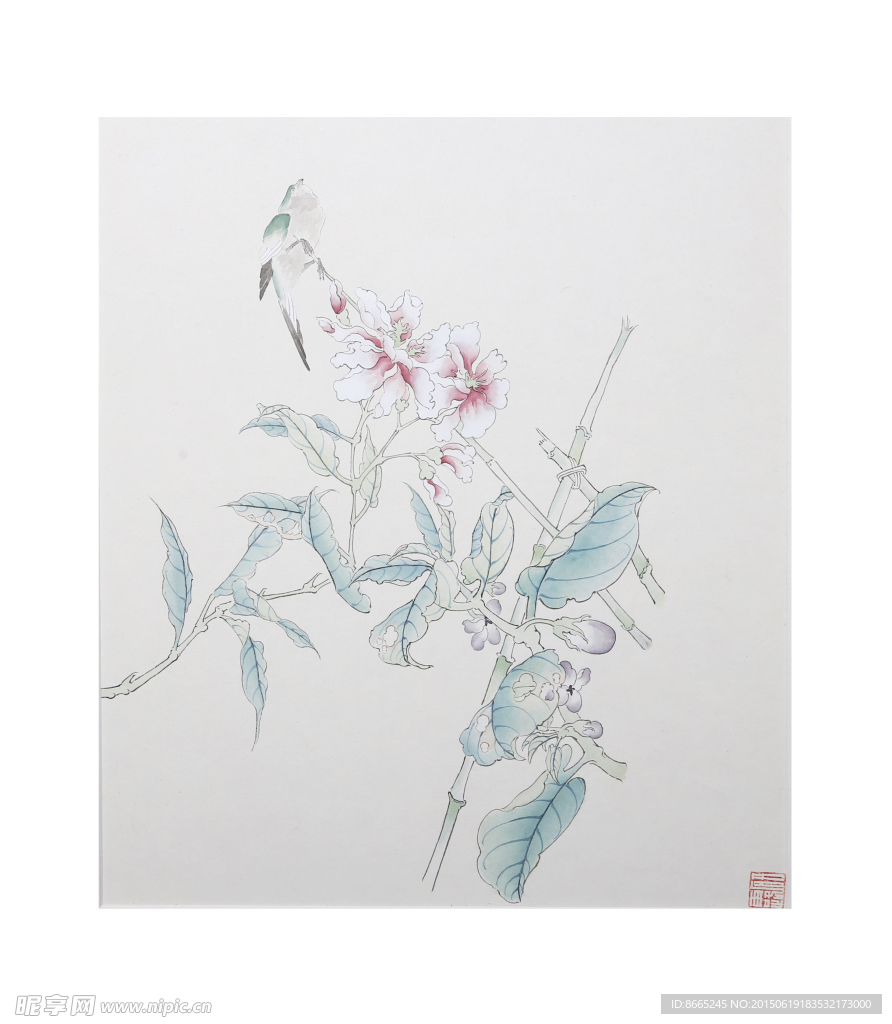 花鸟小品