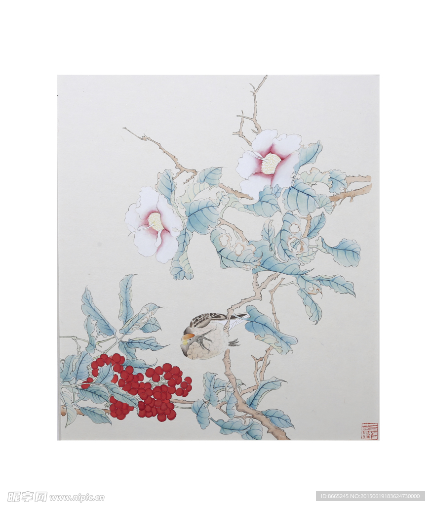 花鸟小品
