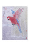 鹦鹉