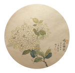 绣球花