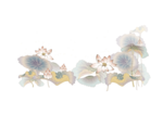 荷花底纹