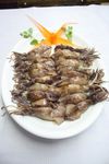 鱿鱼仔